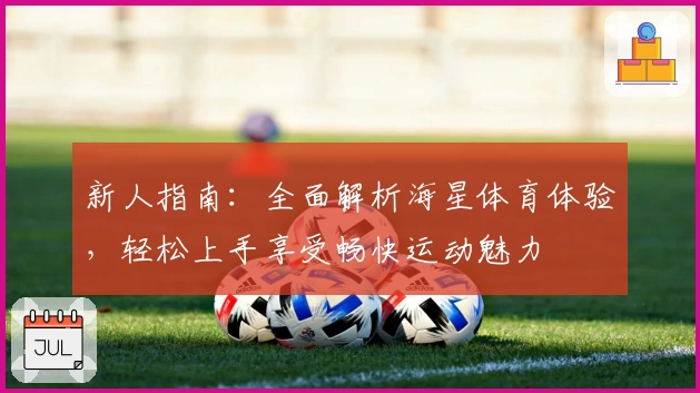 新人指南：全面解析海星体育体验，轻松上手享受畅快运动魅力